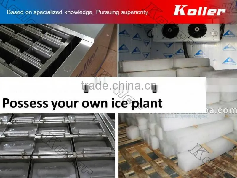 a simple ice block plant in container with cold room