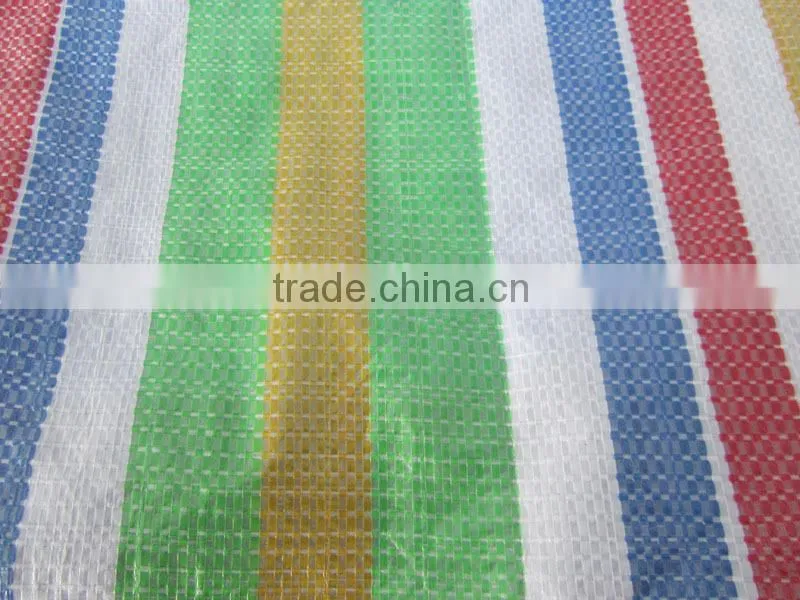 New brand well seller PE tarpaulin sheet china shandong factory