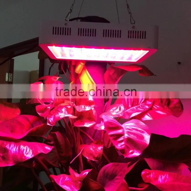 good price spider cob led grow light