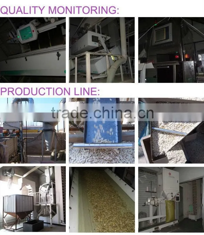 Chinese Sunflower Seeds 363