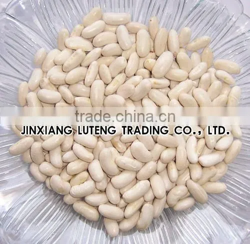 2015 white kidney beans for sale with cheaper price from china