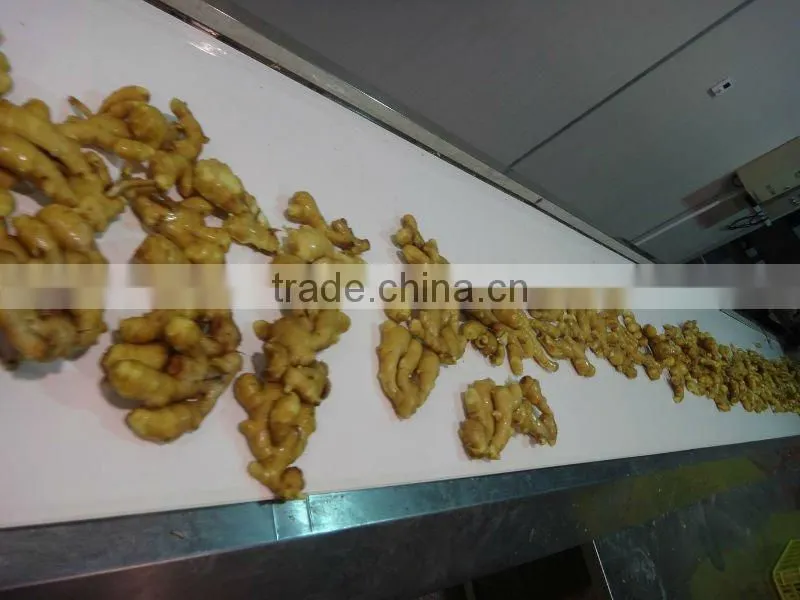 Fresh air dried ginger