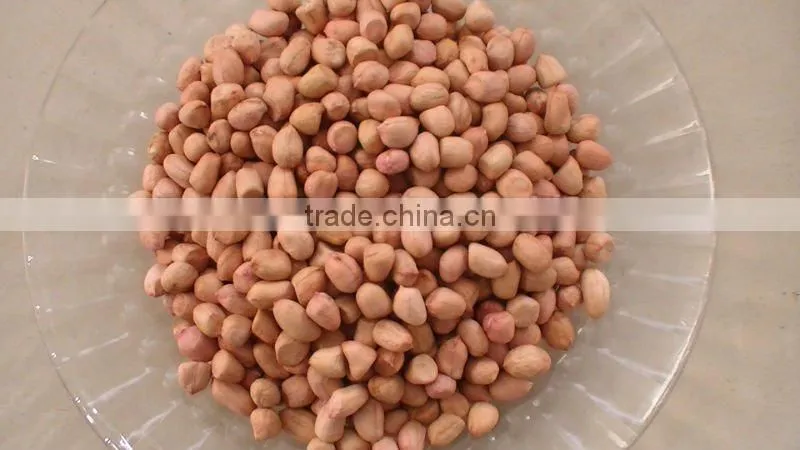 chinese long type ISO9000 and HACCP blanched peanuts 25/29
