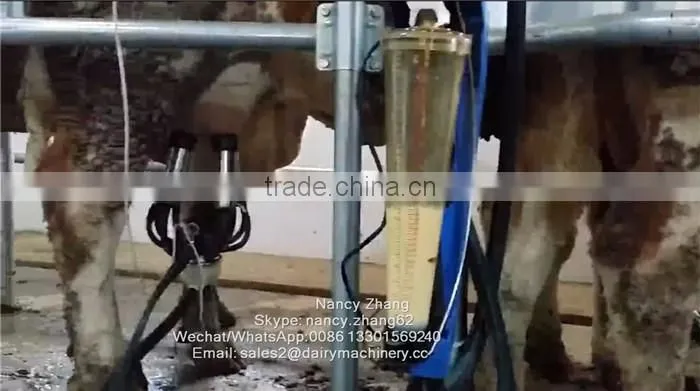 65lb Milk Flow Meter Herringbone Cow Milking Parlour System