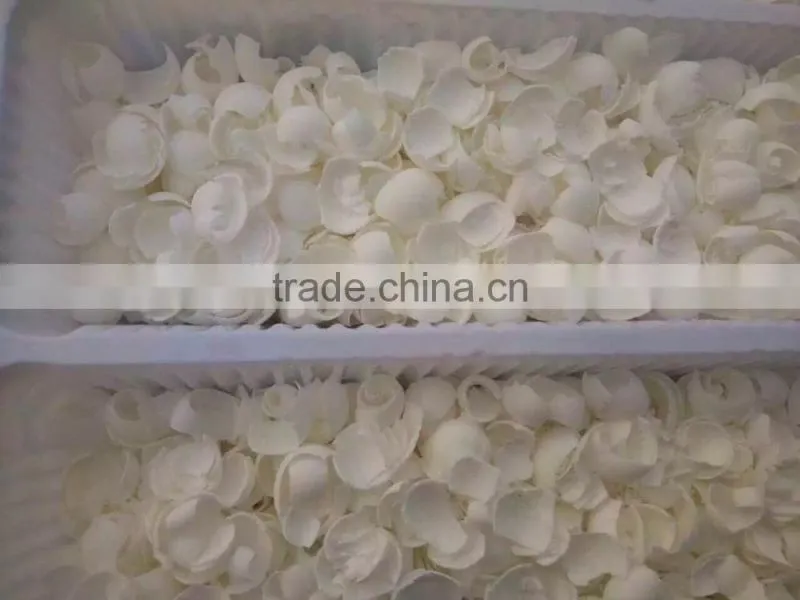 Big discount ! chocolate shaving machine/ chocolate scraping machine