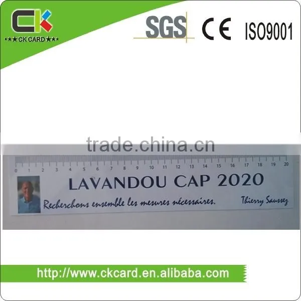 Custom Logo offset Printing PVC Ruler