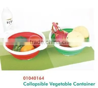 01040164 Collapsible Vegetable Container