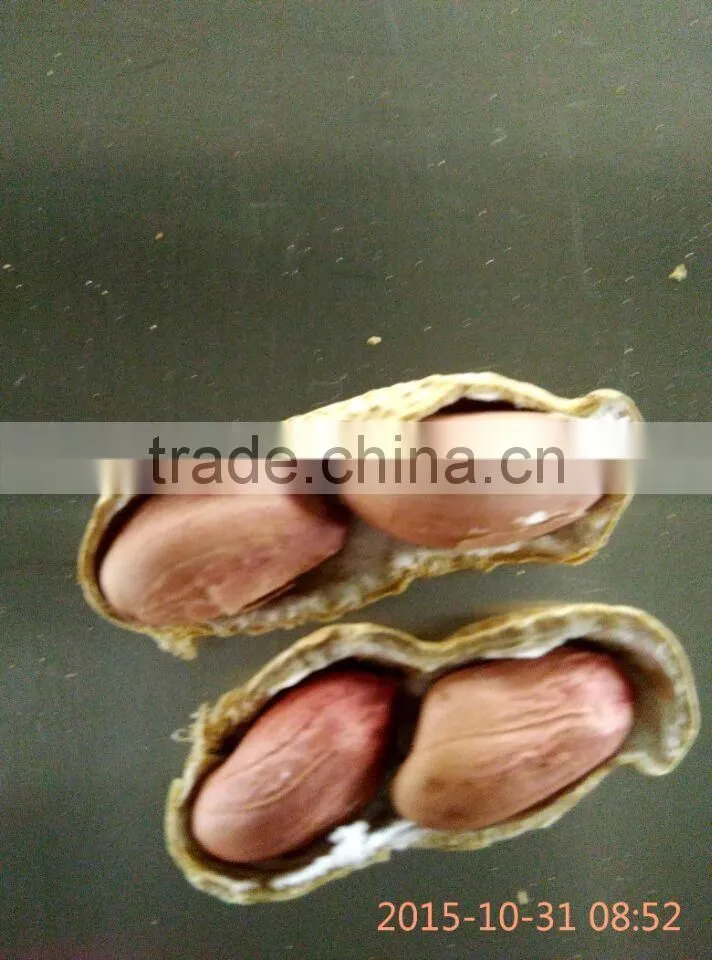 Vegetable and fruit Dehydration machine /conveyor mesh belt dryer