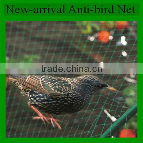 hdpe agricultural bird netting, plastic garden bird catch net for sale