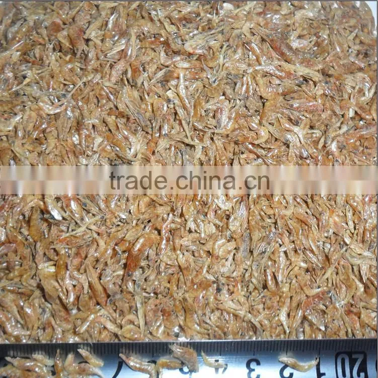 Shrimp exporters high energy sun dried shrimp fish feed