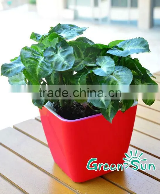 color plastic indoor flower pots wholesale
