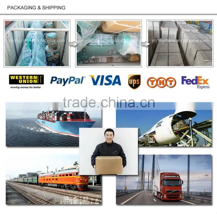 China products pa200 electric hoist 300kg