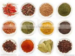 vacuum powder continuous dryer for spice