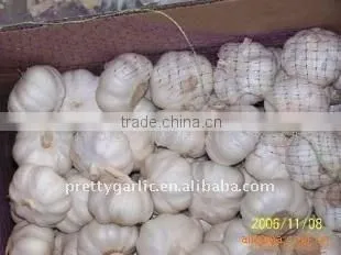 pure white Garlic 6.0cm 10kg carton