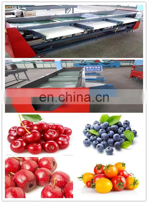 Two Types to Choose Blueberry Sorting Machine/Blueberry Sorter/Blueberry Grading Machine