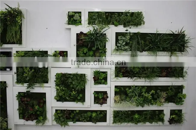 atificial plants