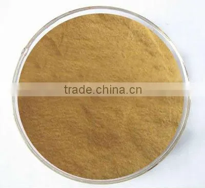 Pure Natural Grifola Frondosa Extract /Polysaccharide