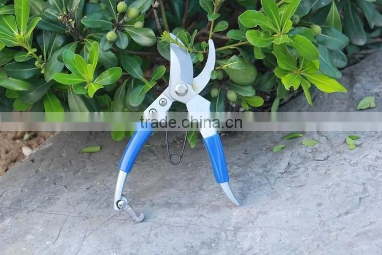 Stainless Steel Garden Pruning Scissor bonsai scissors