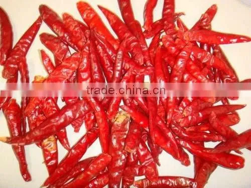 Dried hot Chilli