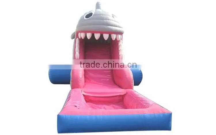 commercial grade inflatable water slides, whale water slide with pool