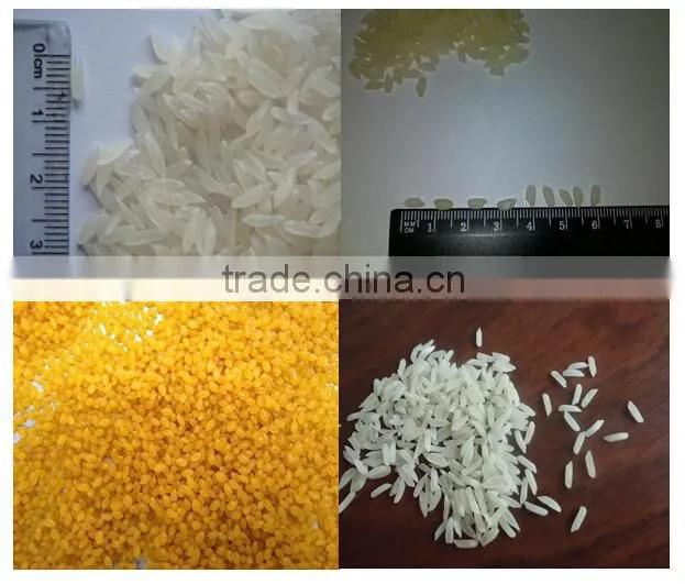Nutritional/Artifical/Reinforced/man made rice machine plant
