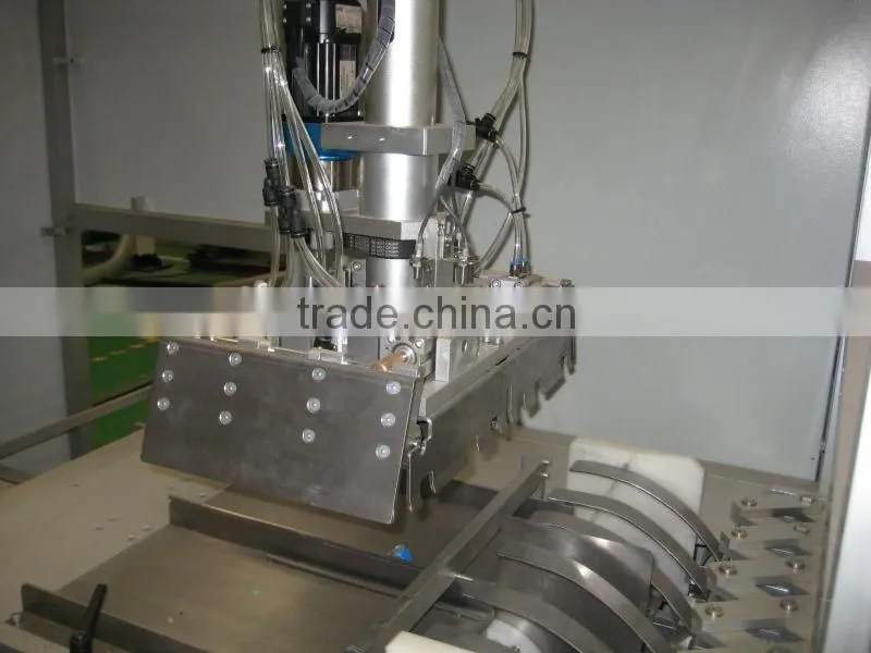 Vertical case packer