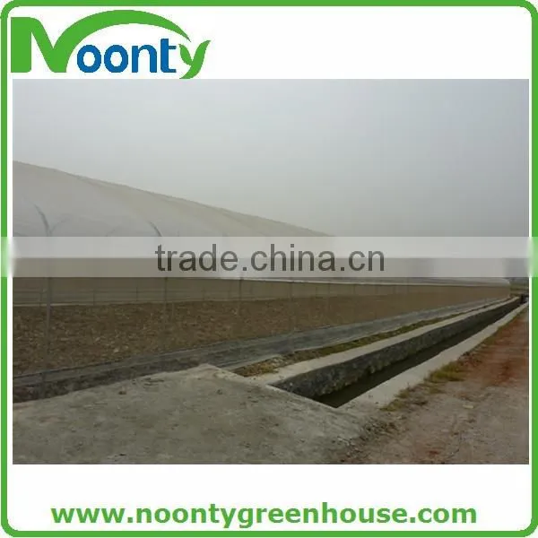 Single span roof vent tropical climate greenhouse