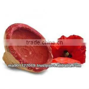 Argan Bar soap