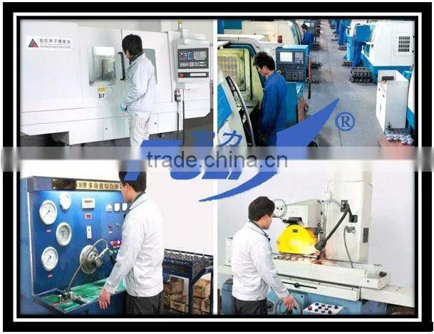 QUALITY DAF/ZF7673 955 217/526663/624702/1291227/1239411/7672 955 287/7674 955 207/7673 955 227/7673 955 217 Power Steering Pump