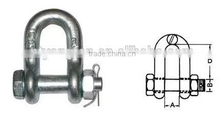 Drop Forged G2150 U.S Type D Shackle, Galvanized D Shackle, 316 D Shackle