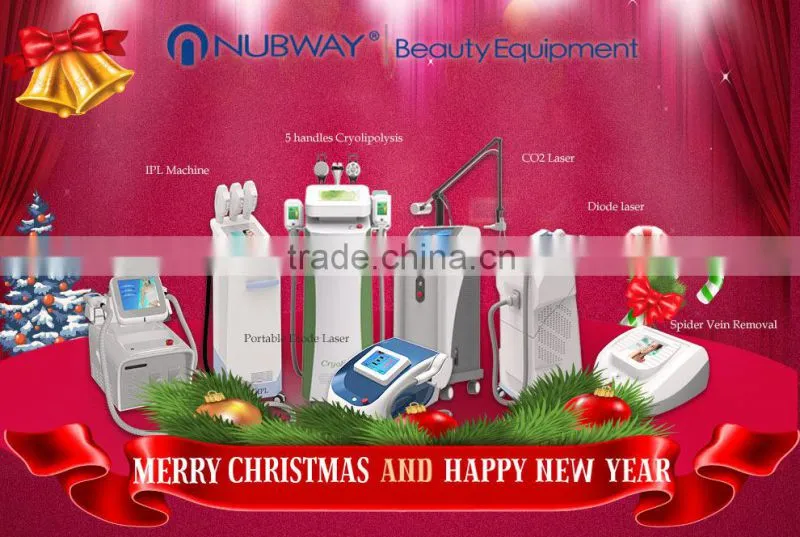 Pain Free 808nm Laser Diode Epil Unwanted Hair Removal Laster Treatment Laser Depilator