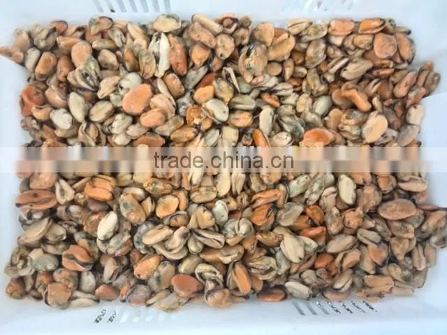 Frozen mussel meat