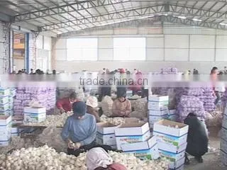 Jining Sinotrading Co., Ltd. company overview - view 4