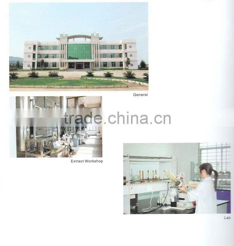 supply Lycoris radiata Herb Extract with Galantamine hydrobromide 99% HPLC
