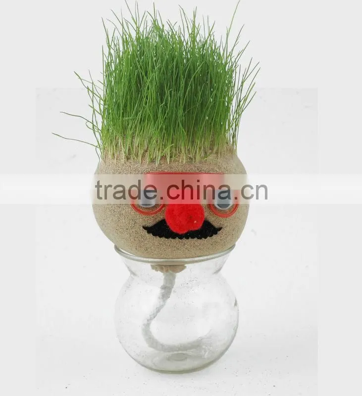 Grow-a-head Greetings