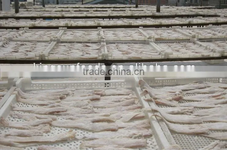 High quality dry salted pollock fillet