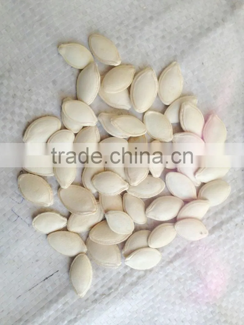 pumpkin seeds shine skin
