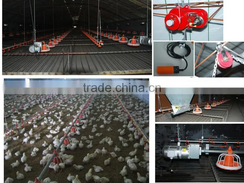 Automatic broiler poultry farm equipment
