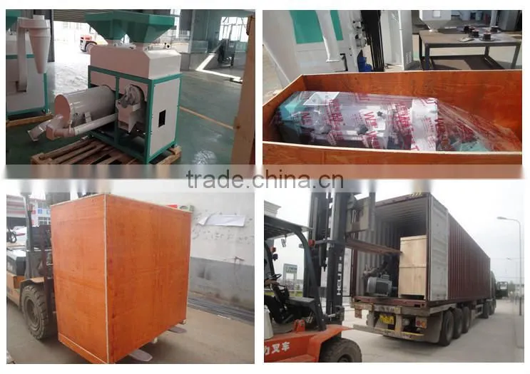 Corn Grinder Plant and Corn Flour Mill Plant