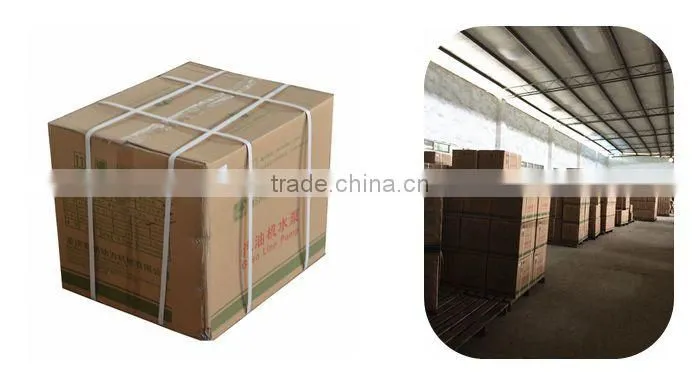 Chongqing Chungeng CG154f 105cc 3hp petrol engine