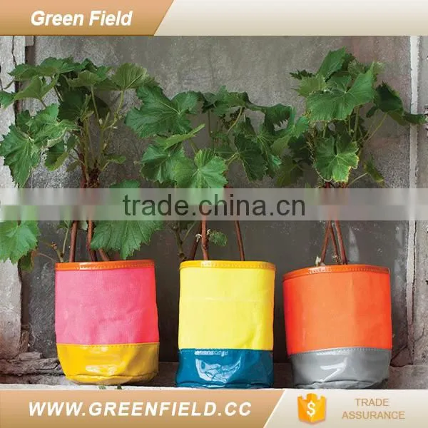 Wholesale coated canvas fabric for flower bags