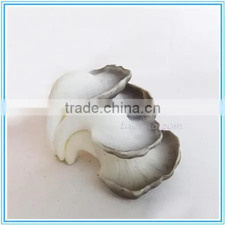 Cheap artificial decoration plastic melon