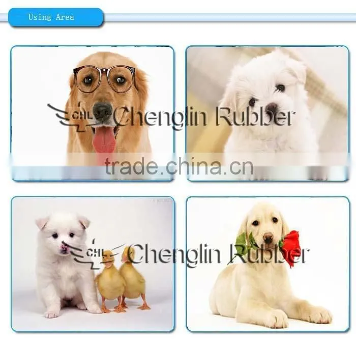 2015 summer custom pet collar mosquito control
