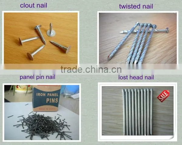 zinc plated clout nail for ceiling factory of linyi shandong