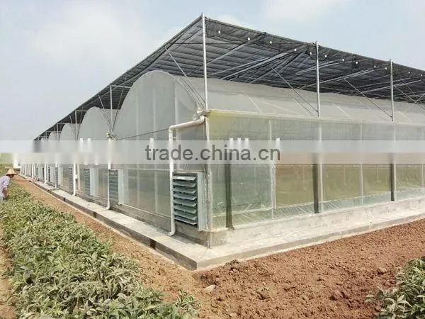 Hot Dipped Galvanized Film Green House