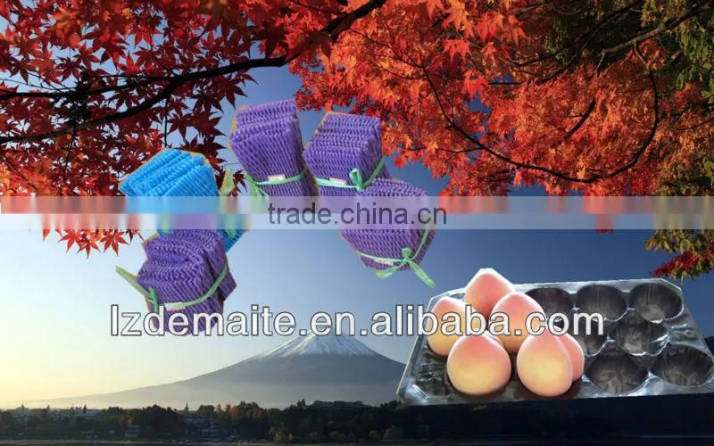 Foam Fruit Cover