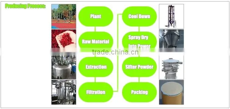 Offering blueberry extract liquid 25%Anthocyandin Vaccinium uliginosum L.
