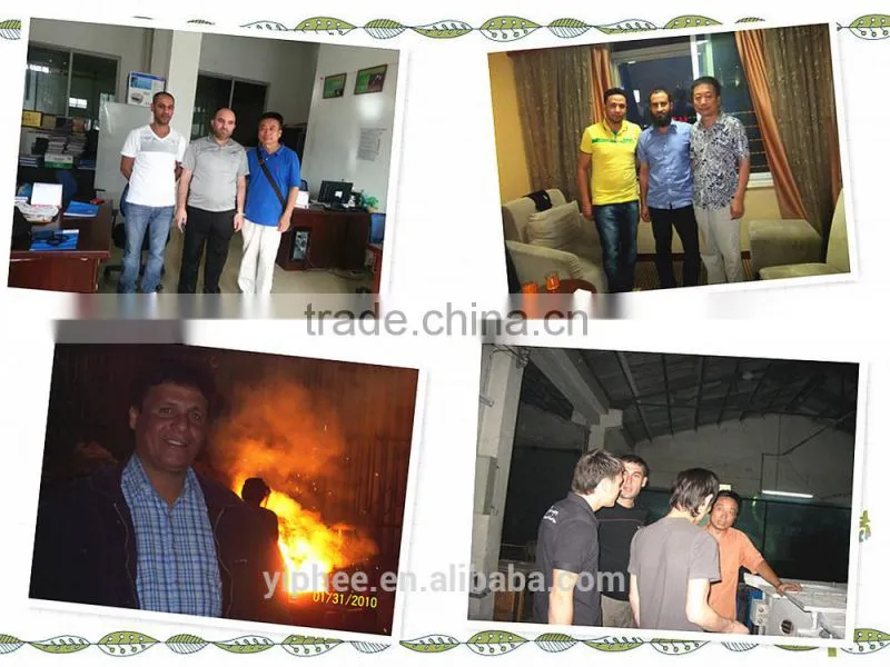 Pig Iron Medium Frequency Induction Melting Furnace 500kg Capacity