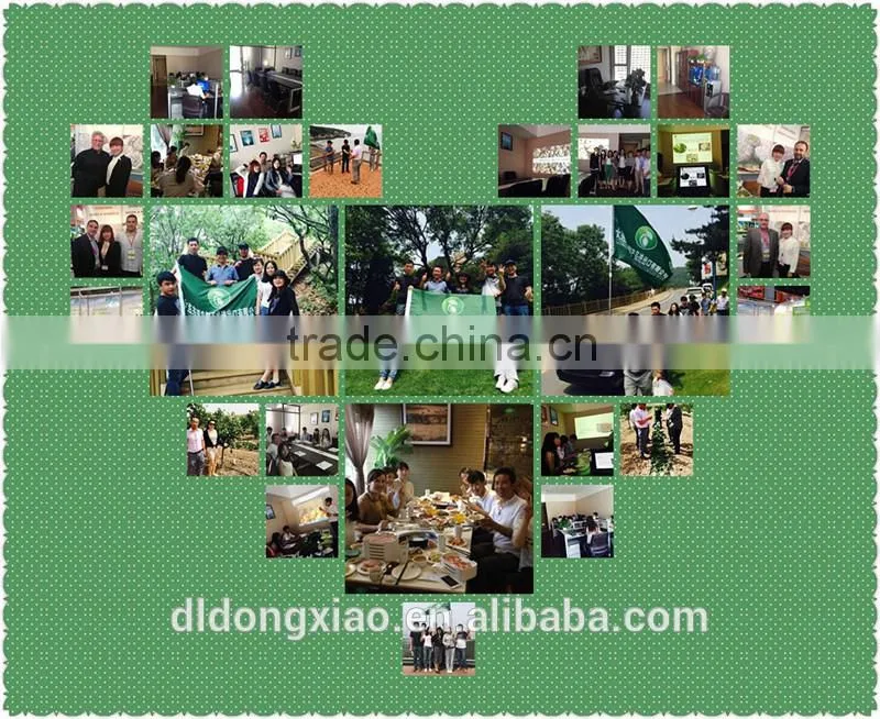 New Crop High Quality Wholesale Pumpkin Seeds /Dark Green Pumpkin Seeds