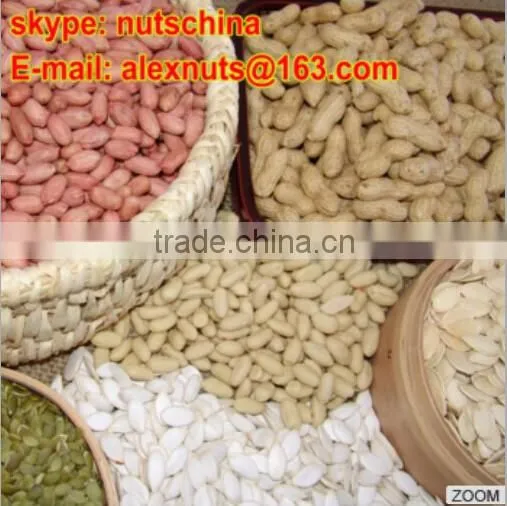 Blanched Peanuts 25/29 29/33 35/39 36/41 41/51 51/61